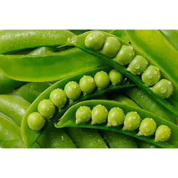 Natural Green Peas
